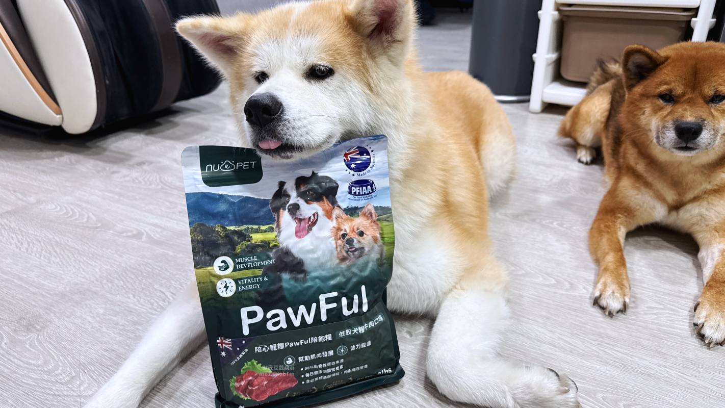 【陪心寵糧評價】Pawful陪飽糧 全齡犬乾糧|Pawful陪飽糧開箱實測 高蛋白低穀飼料分享+寵物飲食控制飼料推薦 - 第11張圖 【陪心寵糧評價】Pawful陪飽糧 全齡犬乾糧|Pawful陪飽糧開箱實測 高蛋白低穀飼料分享+寵物飲食控制飼料推薦