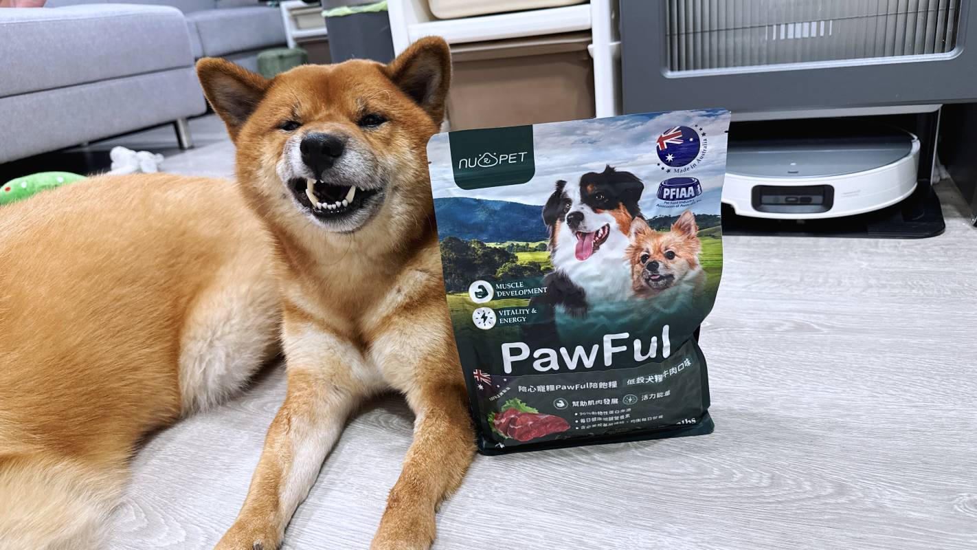 【陪心寵糧評價】Pawful陪飽糧 全齡犬乾糧|Pawful陪飽糧開箱實測 高蛋白低穀飼料分享+寵物飲食控制飼料推薦 - 第8張圖 【陪心寵糧評價】Pawful陪飽糧 全齡犬乾糧|Pawful陪飽糧開箱實測 高蛋白低穀飼料分享+寵物飲食控制飼料推薦