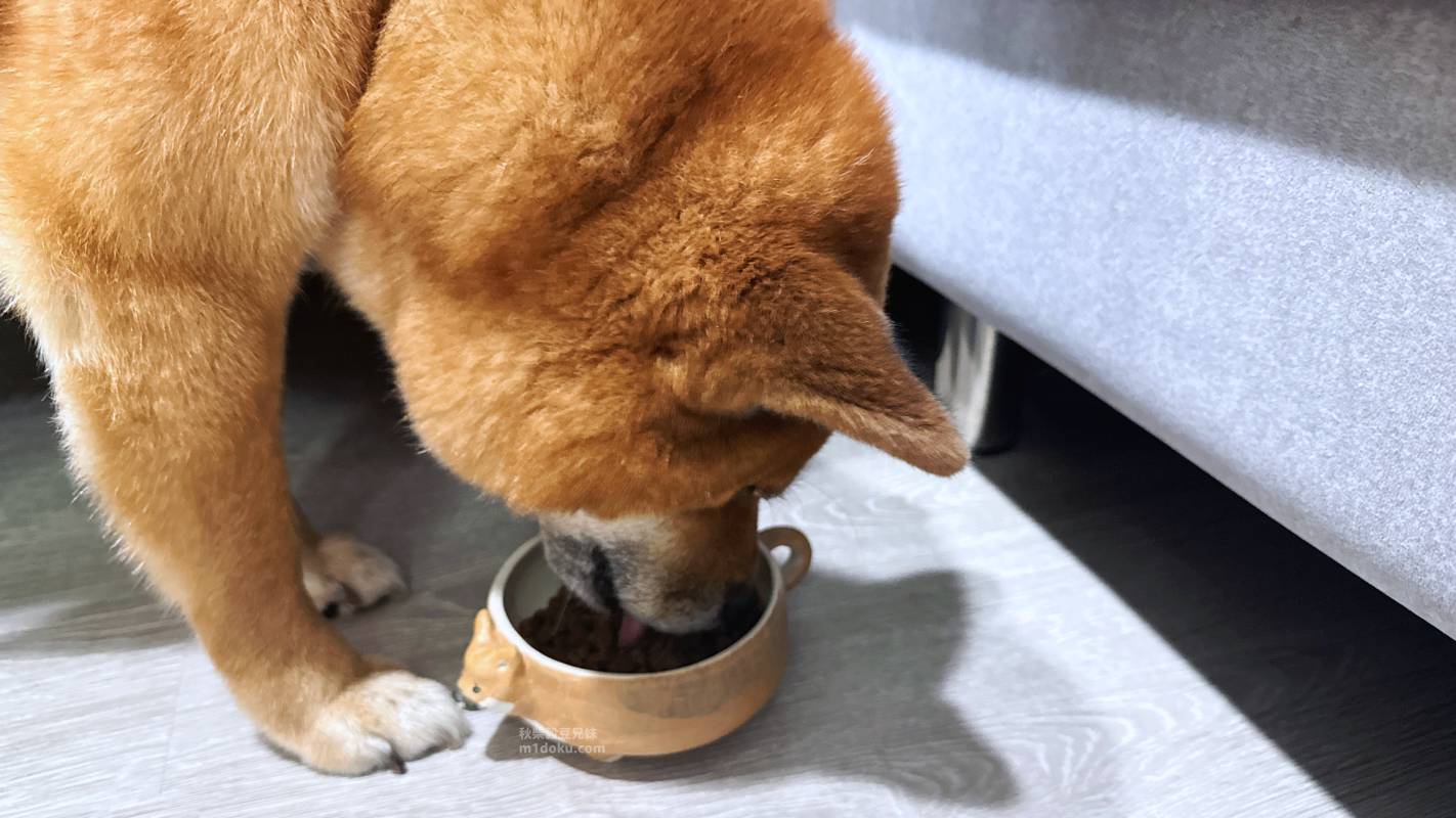 第一饗宴評價｜加拿大五星飼料推薦 適合敏感毛孩 也能安心吃的單一肉源飼料推薦開箱