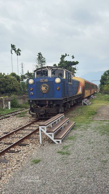 嘉義景點推薦 竹崎 鹿麻產車站|日治時期 百年歷史車站古蹟修復活化 萌犬站長坐鎮 近距離看阿里山林鐵 感受日式建築與菸草文化 鹿滿村 - 第16張圖 嘉義景點推薦 竹崎 鹿麻產車站|日治時期 百年歷史車站古蹟修復活化 萌犬站長坐鎮 近距離看阿里山林鐵 感受日式建築與菸草文化 鹿滿村