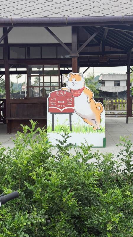 嘉義景點推薦 竹崎 鹿麻產車站|日治時期 百年歷史車站古蹟修復活化 萌犬站長坐鎮 近距離看阿里山林鐵 感受日式建築與菸草文化 鹿滿村 - 第24張圖 嘉義景點推薦 竹崎 鹿麻產車站|日治時期 百年歷史車站古蹟修復活化 萌犬站長坐鎮 近距離看阿里山林鐵 感受日式建築與菸草文化 鹿滿村