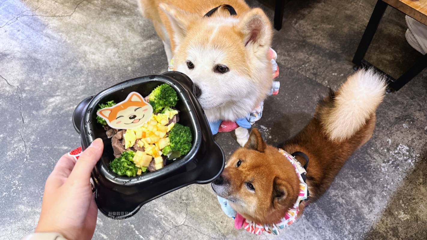 【永和寵物友善餐廳推薦】捲尾巴 Let’s Pet Paws Restaurant|帶毛孩來吃寵物鮮食!超澎湃早午餐、高CP值義大利麵,中永和寵物友善餐廳首選 米豆與米穀的日系美食探險! - 第11張圖 【永和寵物友善餐廳推薦】捲尾巴 Let’s Pet Paws Restaurant|帶毛孩來吃寵物鮮食!超澎湃早午餐、高CP值義大利麵,中永和寵物友善餐廳首選 米豆與米穀的日系美食探險!