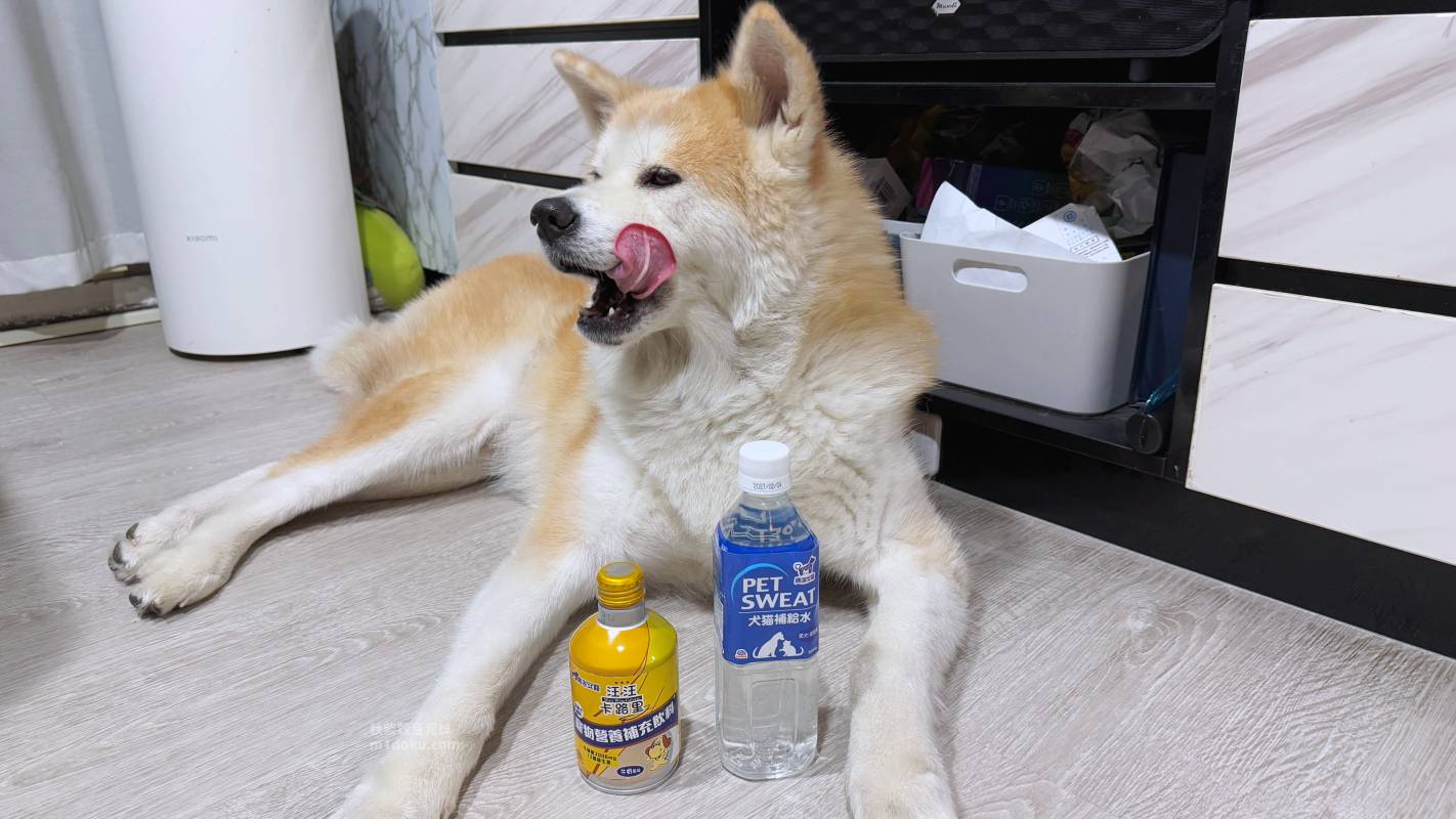 【貓狗保健飲心得】興家安寵汪汪卡路里寵物營養補充飲料 Pet Sweat犬貓補給水開箱|日本進口寵物營養飲料推薦 毛孩補充營養與水分的好選擇 - 第8張圖 【貓狗保健飲心得】興家安寵汪汪卡路里寵物營養補充飲料 Pet Sweat犬貓補給水開箱|日本進口寵物營養飲料推薦 毛孩補充營養與水分的好選擇