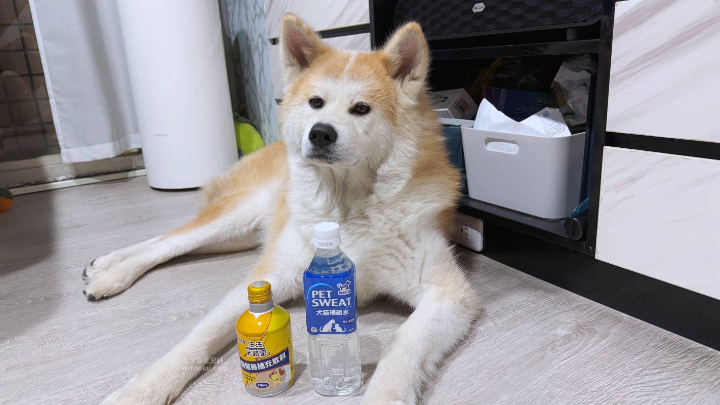 【貓狗保健飲心得】興家安寵汪汪卡路里寵物營養補充飲料 Pet Sweat犬貓補給水開箱|日本進口寵物營養飲料推薦 毛孩補充營養與水分的好選擇 - 第9張圖 【貓狗保健飲心得】興家安寵汪汪卡路里寵物營養補充飲料 Pet Sweat犬貓補給水開箱|日本進口寵物營養飲料推薦 毛孩補充營養與水分的好選擇