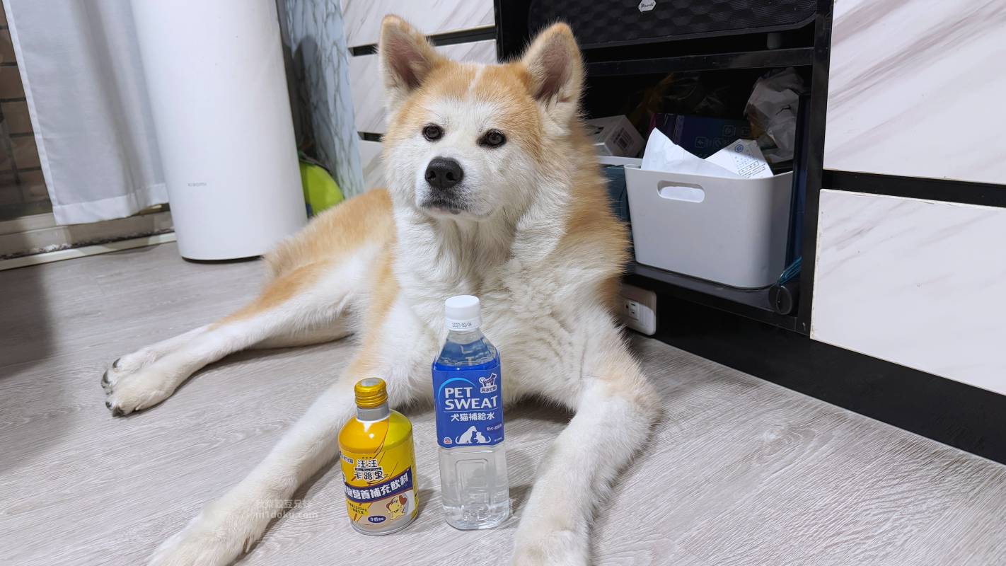【貓狗保健飲心得】興家安寵汪汪卡路里寵物營養補充飲料 Pet Sweat犬貓補給水開箱|日本進口寵物營養飲料推薦 毛孩補充營養與水分的好選擇 - 第1張圖 【貓狗保健飲心得】興家安寵汪汪卡路里寵物營養補充飲料 Pet Sweat犬貓補給水開箱|日本進口寵物營養飲料推薦 毛孩補充營養與水分的好選擇