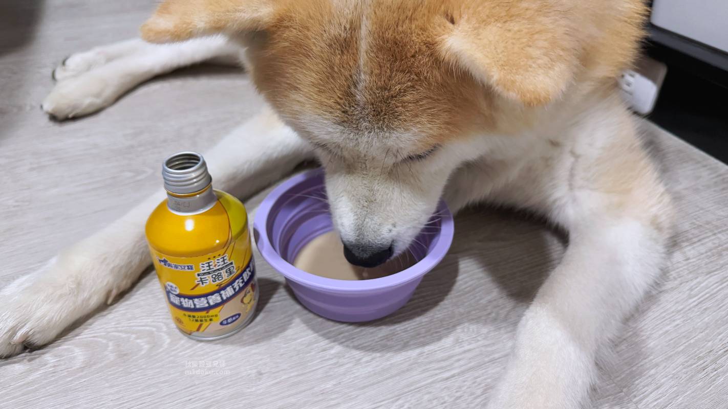 【貓狗保健飲心得】興家安寵汪汪卡路里寵物營養補充飲料 Pet Sweat犬貓補給水開箱|日本進口寵物營養飲料推薦 毛孩補充營養與水分的好選擇 - 第4張圖 【貓狗保健飲心得】興家安寵汪汪卡路里寵物營養補充飲料 Pet Sweat犬貓補給水開箱|日本進口寵物營養飲料推薦 毛孩補充營養與水分的好選擇