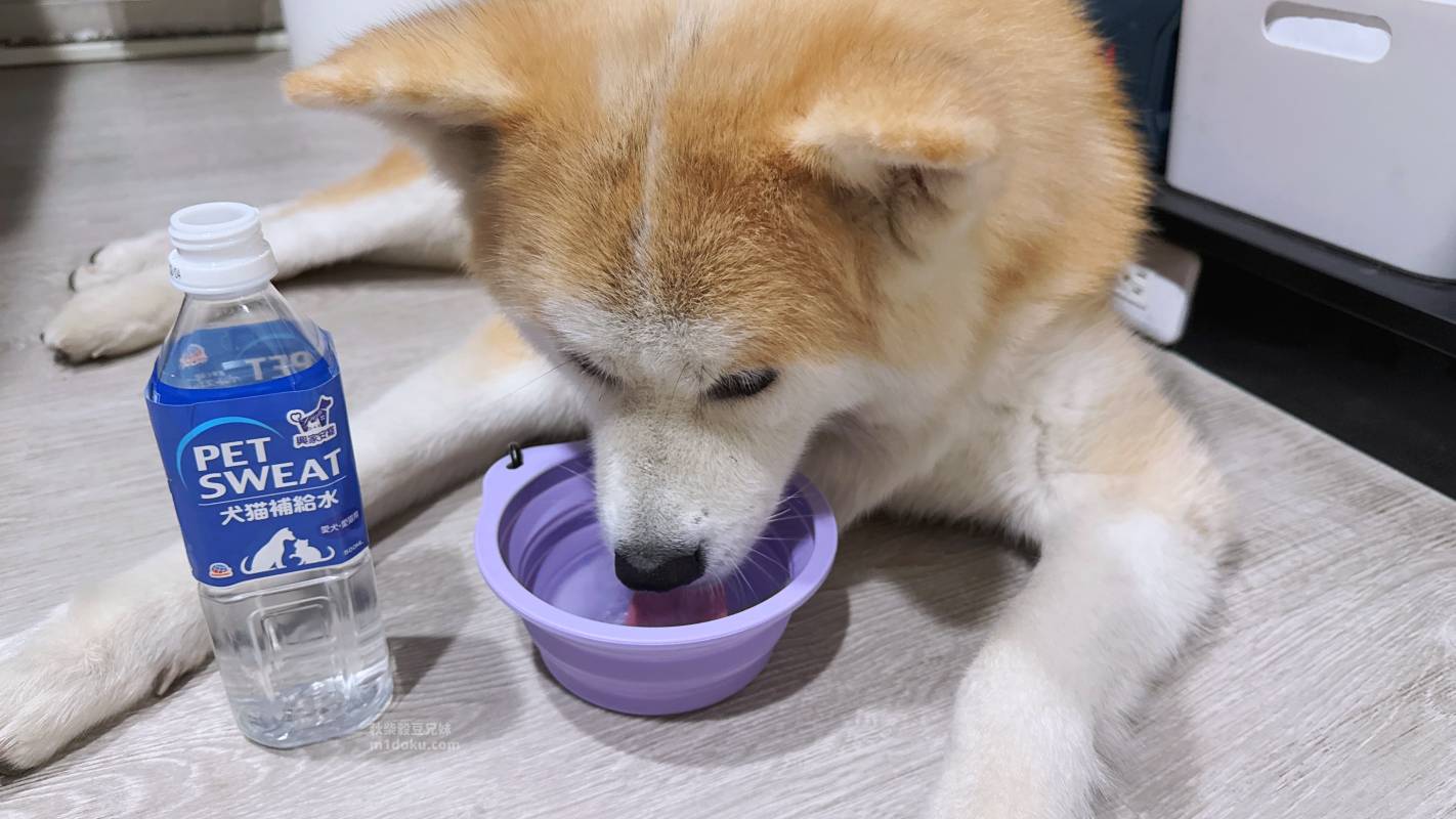 【貓狗保健飲心得】興家安寵汪汪卡路里寵物營養補充飲料 Pet Sweat犬貓補給水開箱|日本進口寵物營養飲料推薦 毛孩補充營養與水分的好選擇 - 第7張圖 【貓狗保健飲心得】興家安寵汪汪卡路里寵物營養補充飲料 Pet Sweat犬貓補給水開箱|日本進口寵物營養飲料推薦 毛孩補充營養與水分的好選擇