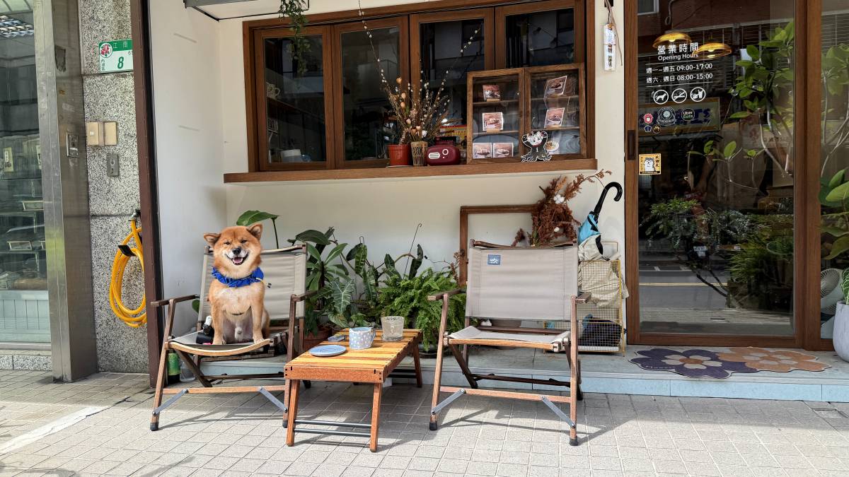 內湖寵物友善早午餐|哈妮早樂子咖啡早午餐評價|狗狗可落地可上椅,餐點精緻不膩口,毛孩家庭值得收藏! - 第20張圖 內湖寵物友善早午餐|哈妮早樂子咖啡早午餐評價|狗狗可落地可上椅,餐點精緻不膩口,毛孩家庭值得收藏!