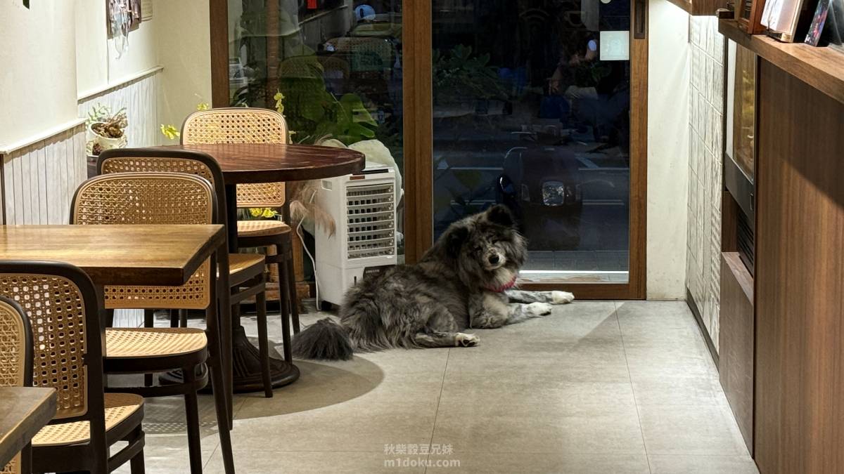 內湖寵物友善早午餐|哈妮早樂子咖啡早午餐評價|狗狗可落地可上椅,餐點精緻不膩口,毛孩家庭值得收藏! - 第16張圖 內湖寵物友善早午餐|哈妮早樂子咖啡早午餐評價|狗狗可落地可上椅,餐點精緻不膩口,毛孩家庭值得收藏!